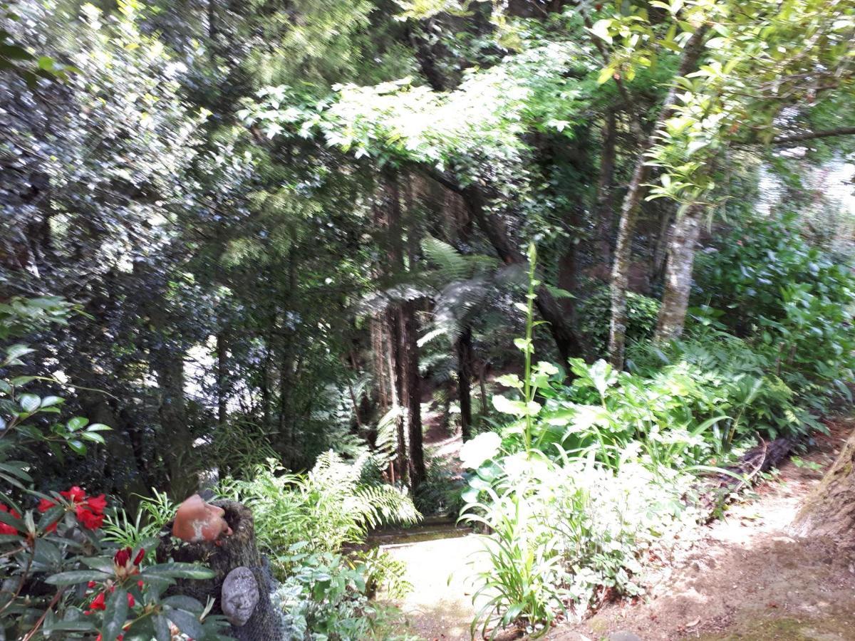 タウマルヌイ Rangaroa Heights Bed & Breakfast エクステリア 写真